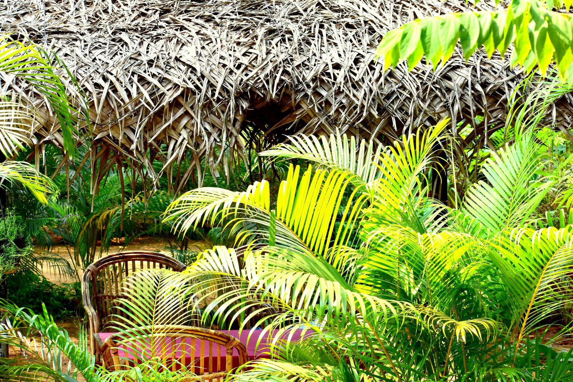 Patnem Garden Resort Patnem Beach Exteriér fotografie